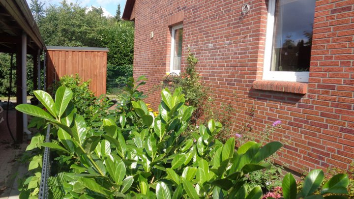 Familienfreundliches Endreihenhaus in ruhiger und grüner Lage in Pinneberg